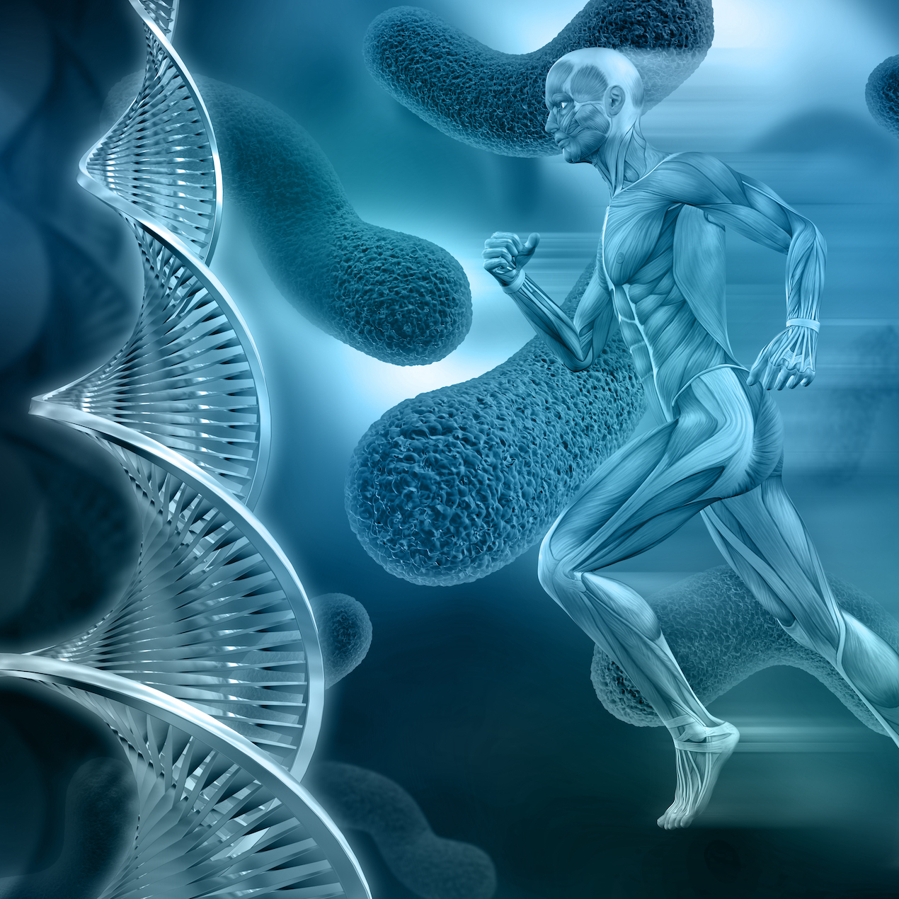 Glad 3D - Homme 3D médical ADN et muscles